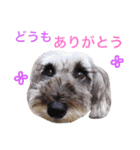 ぼくスキップです！part②（個別スタンプ：35）