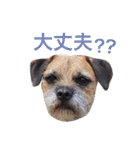 ぼくスキップです！part②（個別スタンプ：36）
