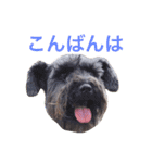 ぼくスキップです！part②（個別スタンプ：37）