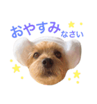 ぼくスキップです！part②（個別スタンプ：38）