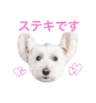 ぼくスキップです！part②（個別スタンプ：40）