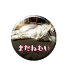 ねこのマチルダ（個別スタンプ：2）