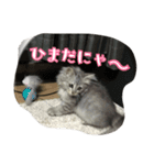ねこのマチルダ（個別スタンプ：4）