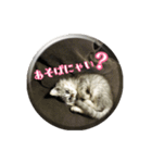 ねこのマチルダ（個別スタンプ：10）