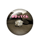 ねこのマチルダ（個別スタンプ：12）
