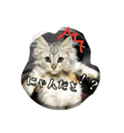 ねこのマチルダ（個別スタンプ：14）