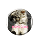 ねこのマチルダ（個別スタンプ：17）