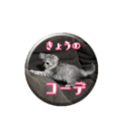 ねこのマチルダ（個別スタンプ：21）
