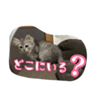 ねこのマチルダ（個別スタンプ：22）
