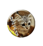 ねこのマチルダ（個別スタンプ：23）