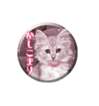 ねこのマチルダ（個別スタンプ：25）