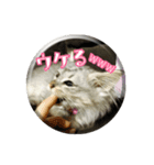 ねこのマチルダ（個別スタンプ：30）