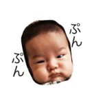 baby tora（個別スタンプ：8）