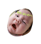 baby yu chan 3（個別スタンプ：15）