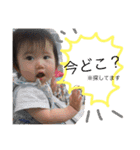 しゅうゆずコレクションず（個別スタンプ：11）