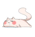 MeowJiro and ChiTaro（個別スタンプ：2）