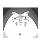 MeowJiro and ChiTaro（個別スタンプ：25）