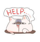 MeowJiro and ChiTaro（個別スタンプ：38）