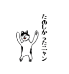 しろくろニャンタ（個別スタンプ：8）