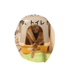 にゃんずとの365日。Vol.2（個別スタンプ：1）