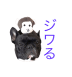 ルチアさん その2（個別スタンプ：7）
