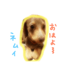 みゆ、きら、チャー（個別スタンプ：1）