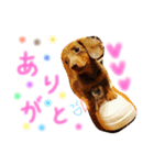 みゆ、きら、チャー（個別スタンプ：8）