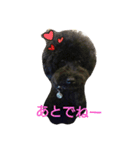 くろぷーとお友達（個別スタンプ：4）