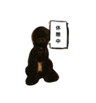 くろぷーとお友達（個別スタンプ：9）