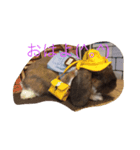 う〜ちゃん と シャン（個別スタンプ：1）