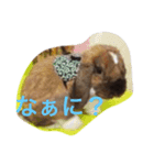 う〜ちゃん と シャン（個別スタンプ：2）