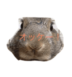 う〜ちゃん と シャン（個別スタンプ：4）