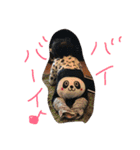 カイラの日常（個別スタンプ：1）