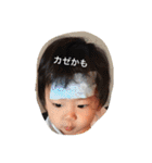 ただちゃんず（個別スタンプ：1）