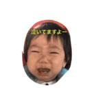 ただちゃんず（個別スタンプ：2）