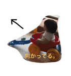 ただちゃんず（個別スタンプ：6）