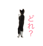 それゆけ希望チャン！（個別スタンプ：12）