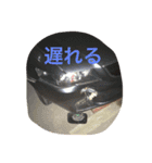 こくどせいさく（個別スタンプ：11）