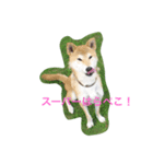 つぶやきワンコ（個別スタンプ：4）