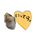 大好きな家族の写真をスタンプにしました（個別スタンプ：6）