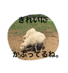 どうぶつえんの仲間たち（個別スタンプ：3）