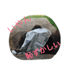 どうぶつえんの仲間たち（個別スタンプ：16）