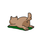 ねこ留学（個別スタンプ：34）