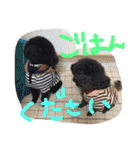 ごとちゃんズ（個別スタンプ：17）