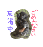 ごとちゃんズ（個別スタンプ：18）