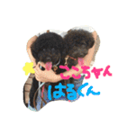 ごとちゃんズ（個別スタンプ：35）
