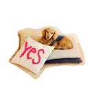 おじ犬まろん（個別スタンプ：8）