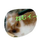 Cute！ Key stamp（個別スタンプ：6）