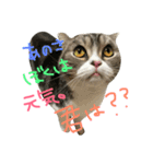 ワコの助（個別スタンプ：4）