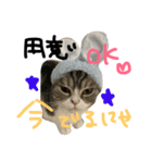 ワコの助（個別スタンプ：5）
